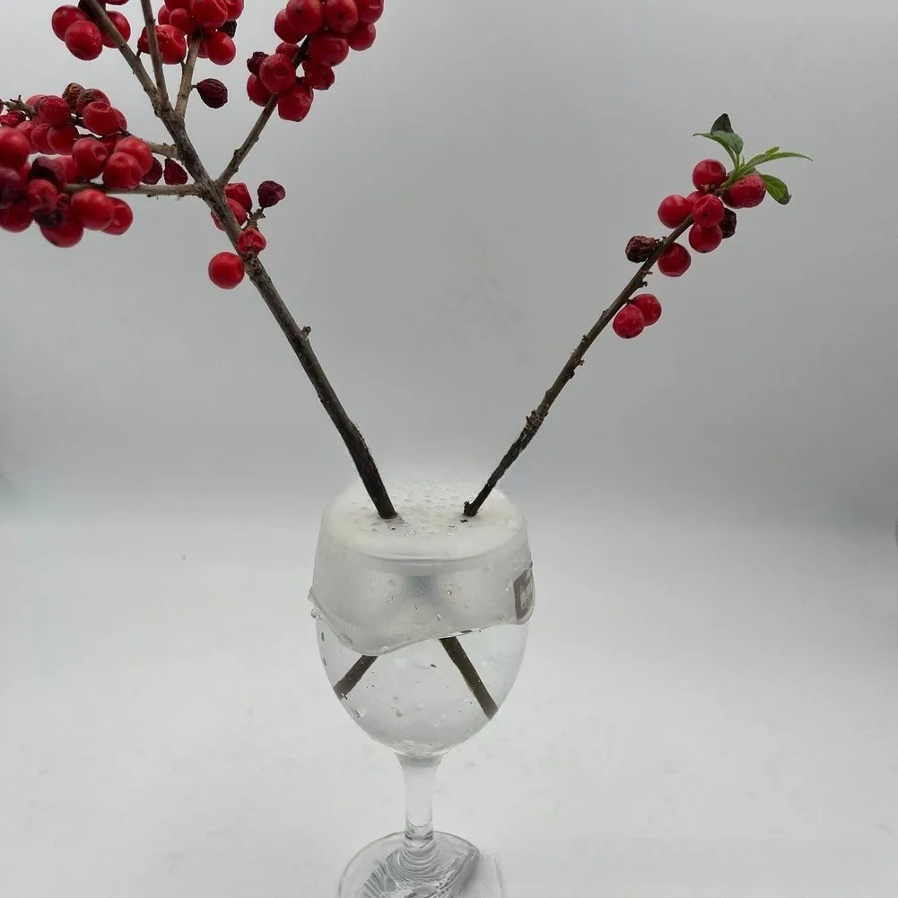 Flower Grid for Vases Featuring Stretch-to-Fit Silicone Design - Supports Mixed Stem Lengths and Varied Flower Types