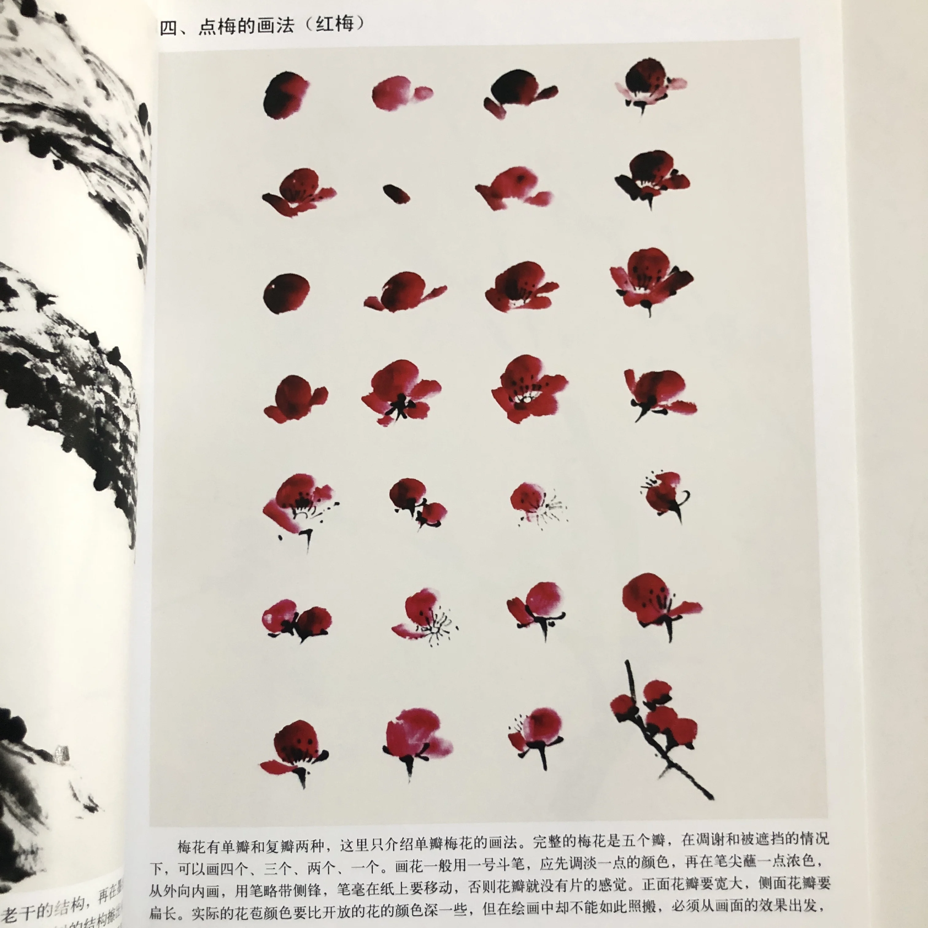 Plum Blossom Coloring Methods: Xieyi Style Ink Wash & Pigment Blending Tutorial