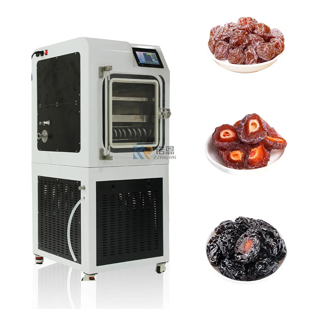 Electric Freeze Drying Machine Dryer Shelf Heating Lyophilizer Laboratory Vacuum Food Freeze For Vegetable Fruit