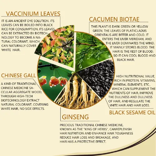 Imagen 2 del producto Champú para teñir el cabello negro, crema para teñir el cabello con esencia de plantas naturales orgánicas, champú para teñir el cabello rápido de 500ML para mujeres y hombres