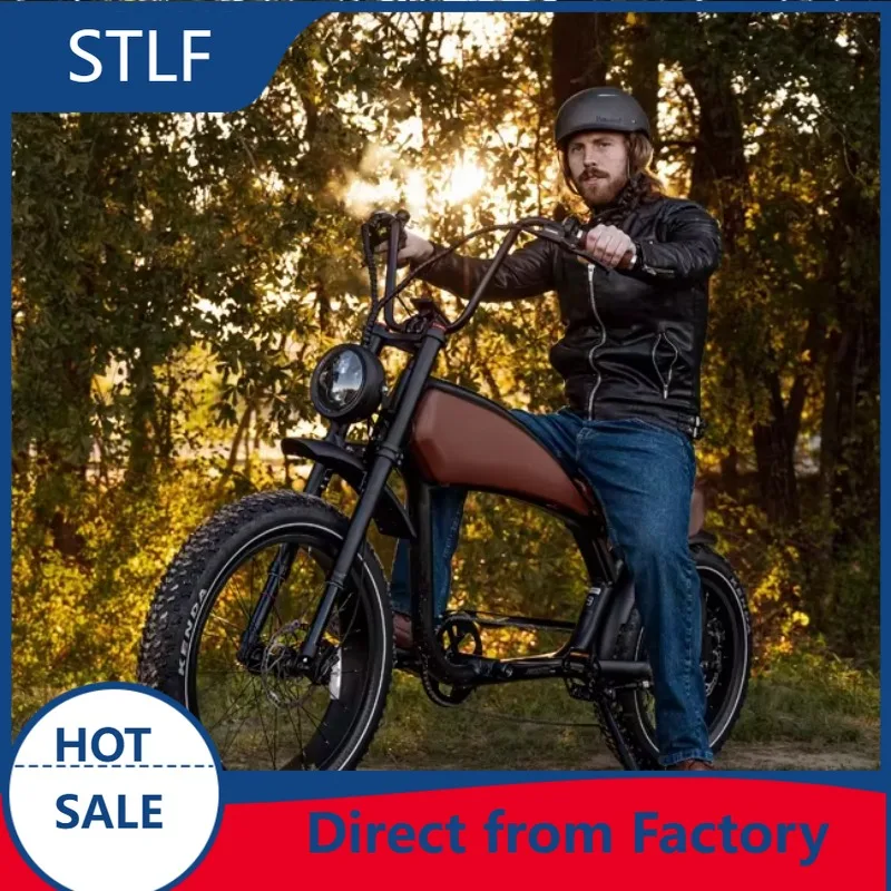 Adult Electric Bike 48V Rear Hub Drive Motor Alloy Frame Built-In Lithium Battery