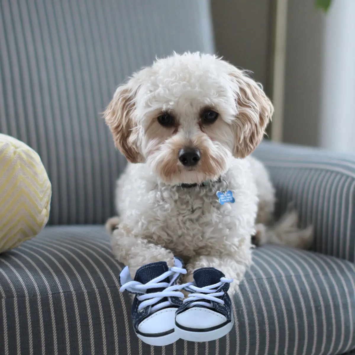

4pcs Fashion Stars Denim Pet Dog Puppy Non-slip Lace-up Casual Shoes Sneakers Boots - Size XS (Blue)
