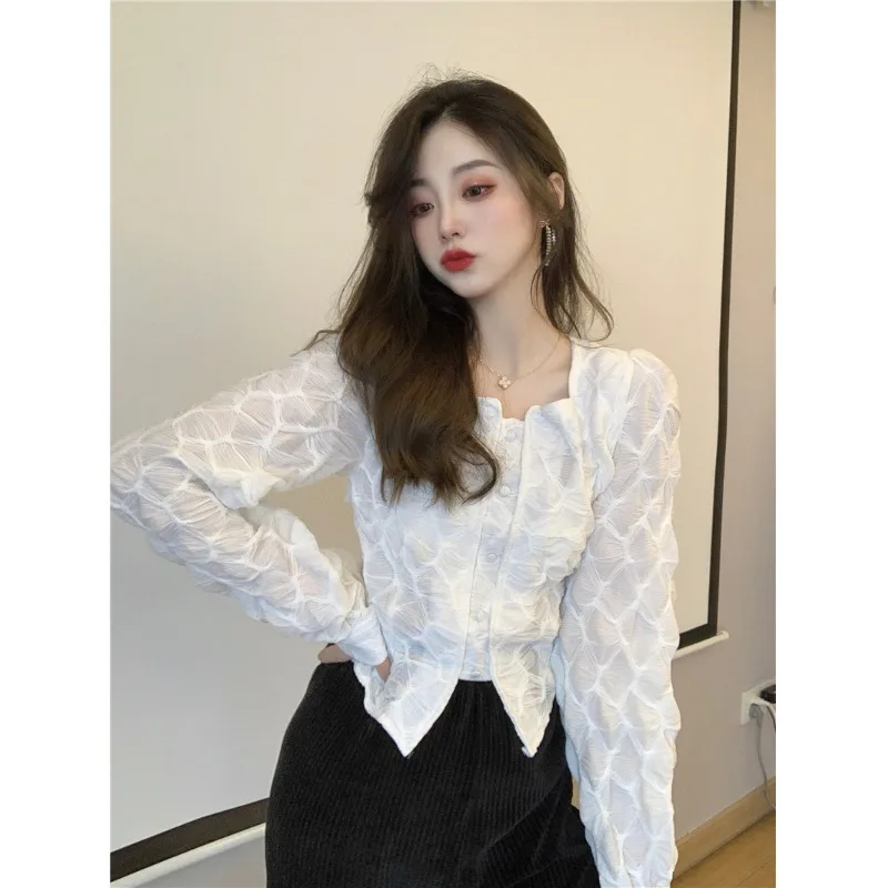 

Ретро-элегантность: женская блузка с вышитым узором, квадратным воротником и рукавами-фонариками, длинный рукав, для ранней весны, стройнящая, универсальная.