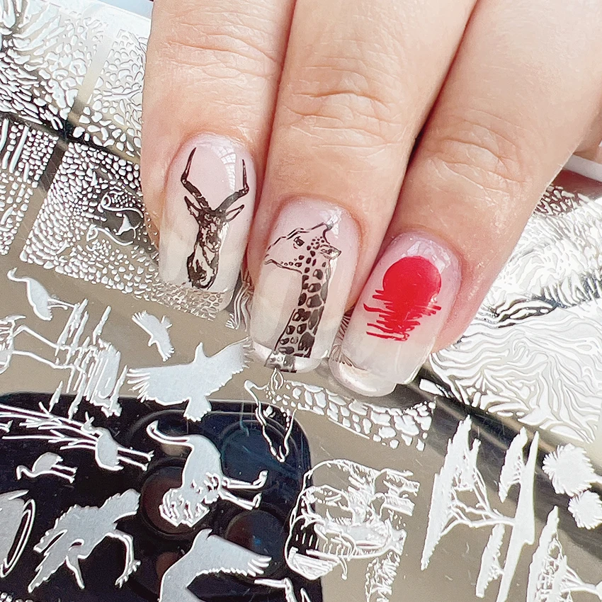 Stamping Nail Art Tools Image Plates Animal