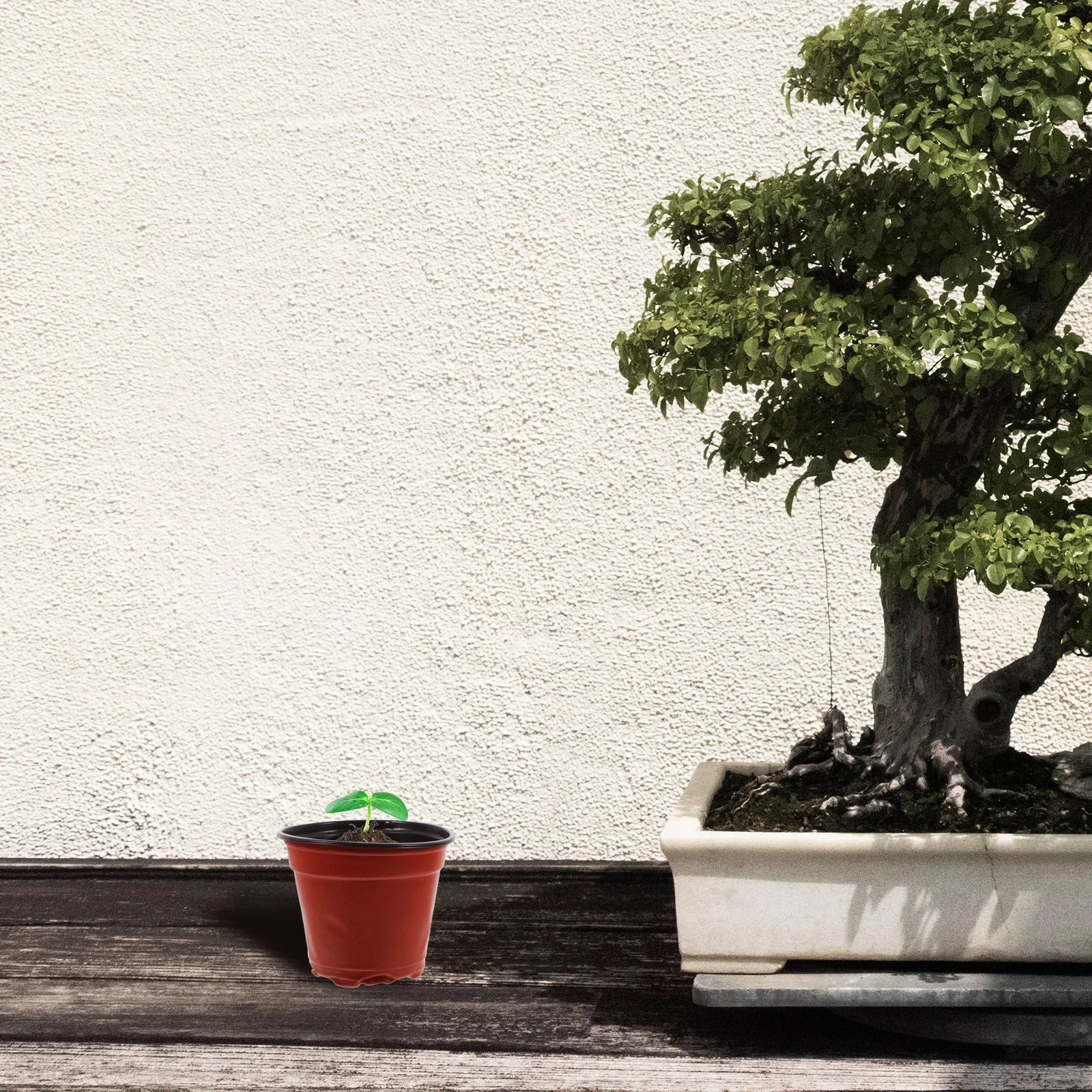 

100Pcs Clear Plastic Nursery Cups Heavy Duty Plant Growing Pots with Drainage for Home Garden Balcony Yard Greenhouse