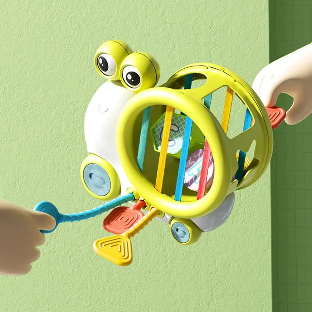 Snail Shape Sorter Toy Geometric Interactive Toys Colorful Shape Cognition Blocks Early Learning Educational