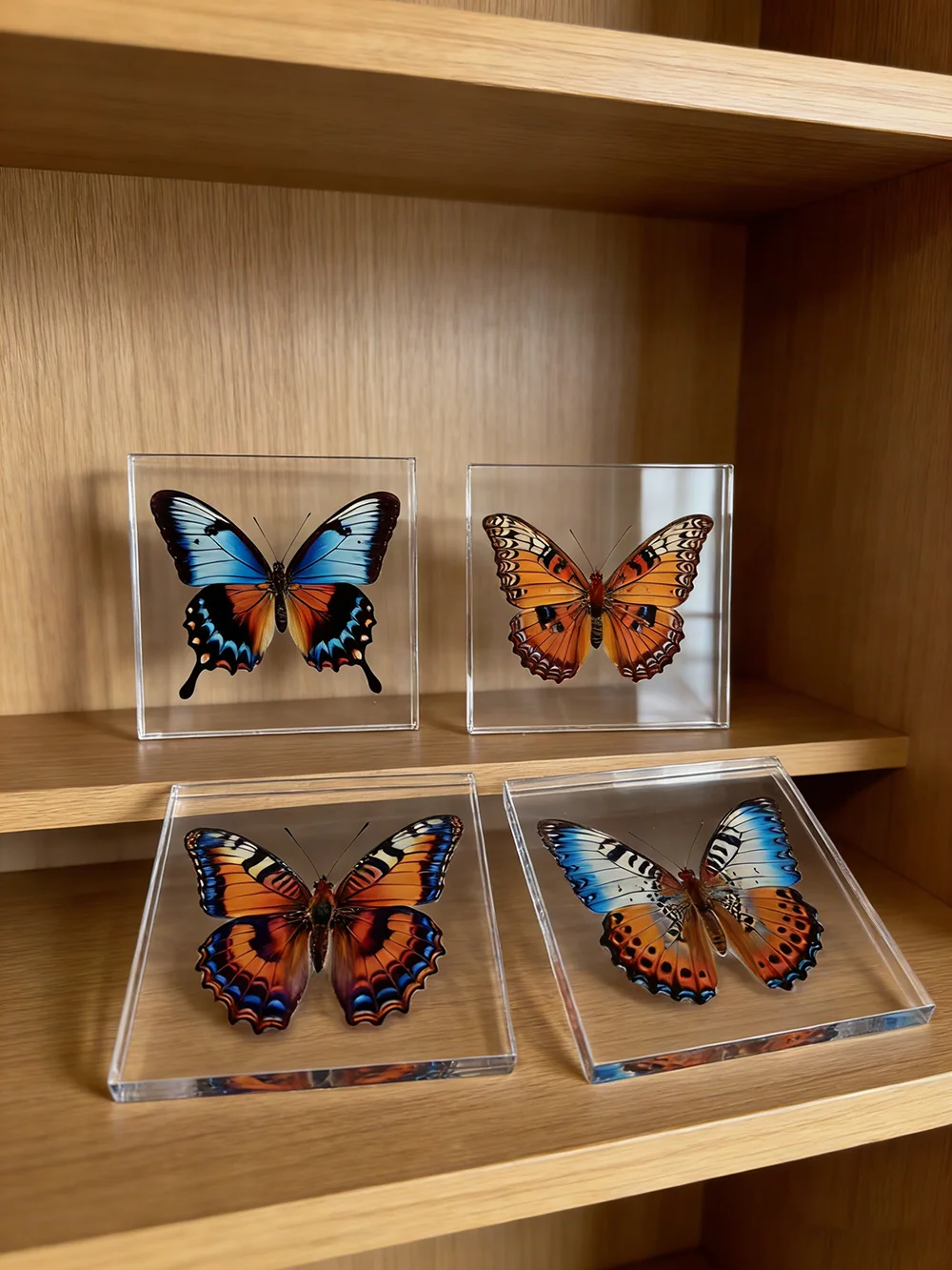 1 Stück Handgefertigtes Schmetterlings-Exemplar als Schreibtischdekoration, Kleine Ornament-Deko für Zuhause, Geschenk für Kinder und Mädchen – Detail 5