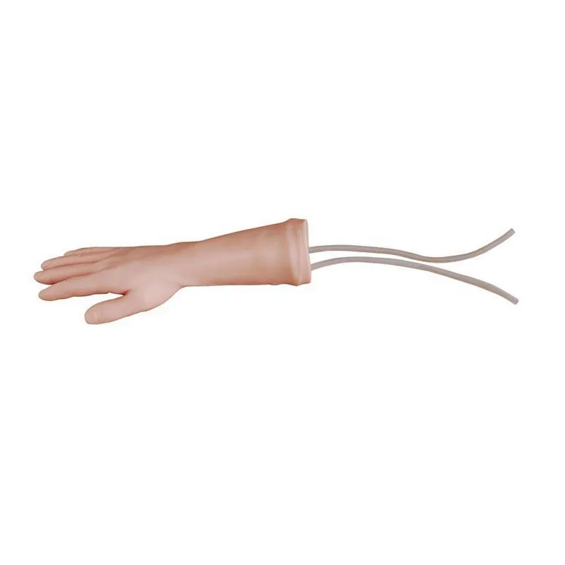 Medical Education Injection Training Hand Venipuncture