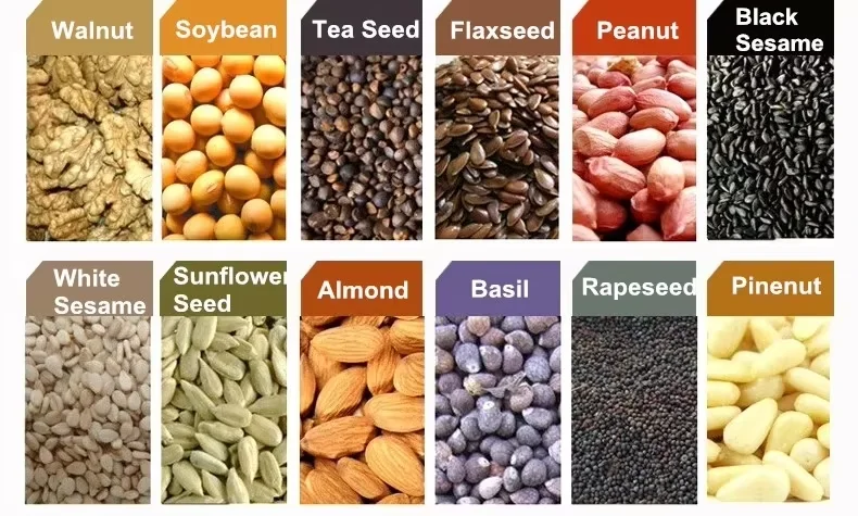 All in One Oil Press Mustard Cold Press Oil Machine Soybean Sunflower Oil Making Machine - view 5