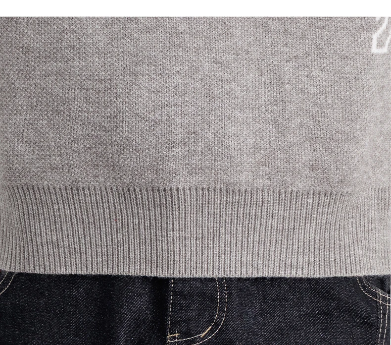 High-End-Marke Pullover Herren Herbst Winter Neue süße Welpen Druck Mode gestreifte Knopf Design Freizeit Komfort Warm Rundhalsstrik Sweater – Detail 23