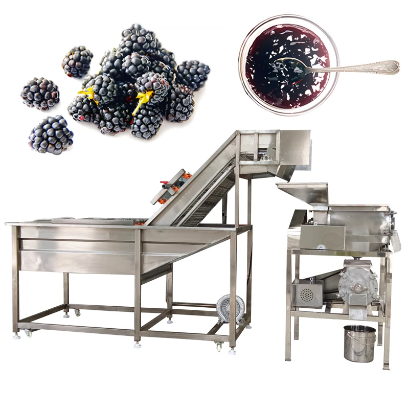 Commercial Berry Fruit Processing Line Stainless Steel Blackberry Pulping Machine For Fruit Jam And Puree Manufacturing Custom