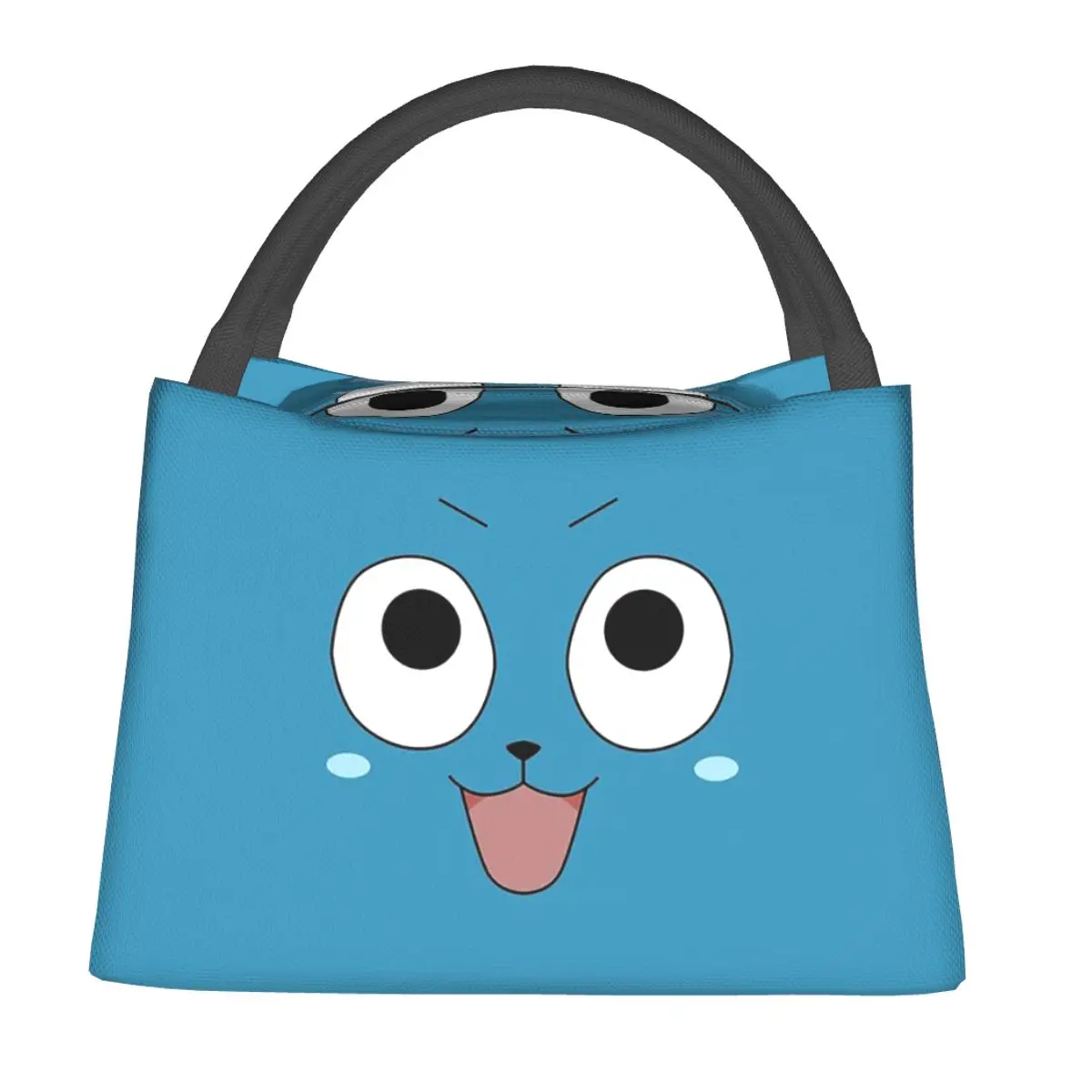 Happy Cat Fairy Tail Lunch Bags Insulated Bento Box Resuable Lunch Tote Picnic Bags Cooler Thermal Bag for Woman Kids Work