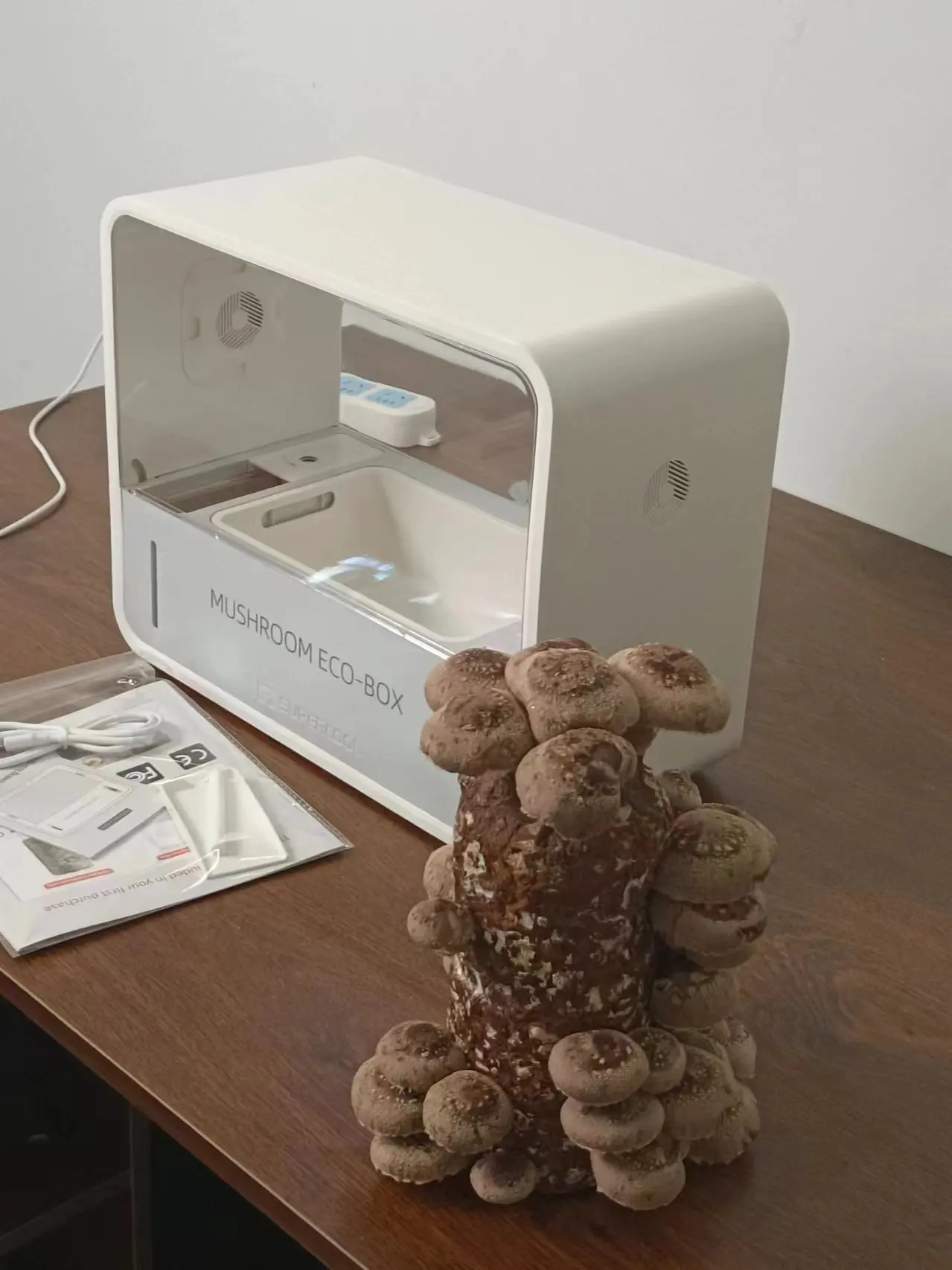 

New Style Mushroom Planter Garden Indoor Mushroom Growing System Circulating Smart Table Garden