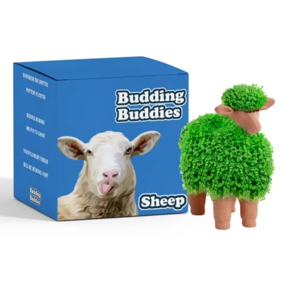 

Овеца Забавный кашпо для домашних животных Budding Buddies Декоративные кашпо для керамики Новинка Подарок Терра Cotta Голова домашних животных Веселье Легко вырастить Идеально