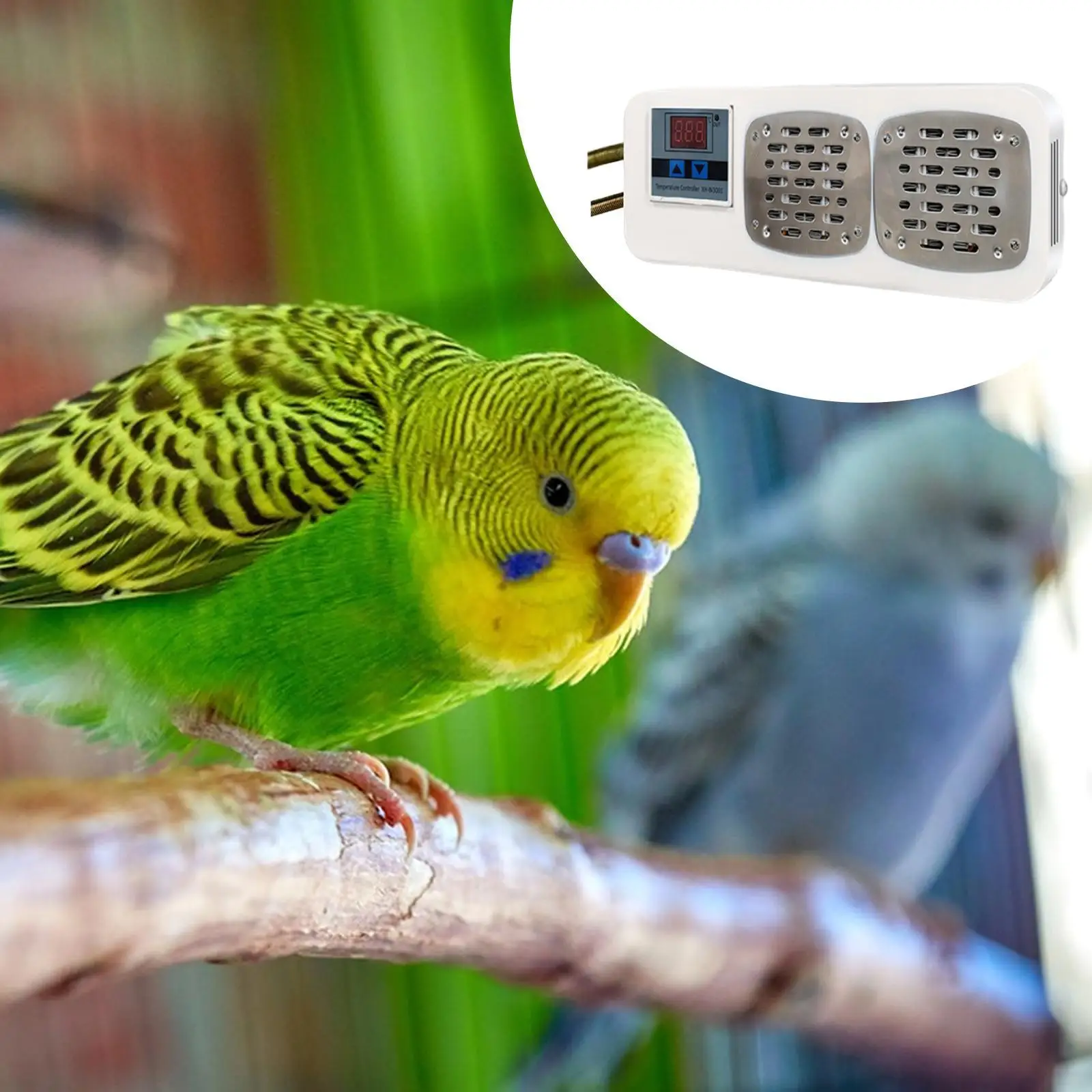 

Нагреватель для клеток для птиц, подогреватель для птиц, термостат, контроллер, согревающее устройство, защита от укусов, удобная, простая установка, без света для попугаев