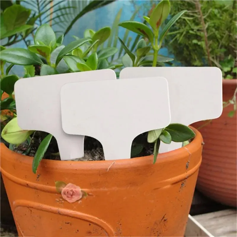 100Pcs White Plastic Plant T-Type Tags Markers Nursery Garden Pots Decoration Garden Labels 6X10cm