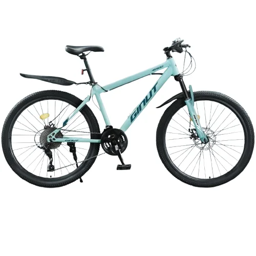 

Hot Selling Mountain Bike 26 Inch Mtb Bike Front and Rear Disc Brakes 21 Speed Mountain Bike