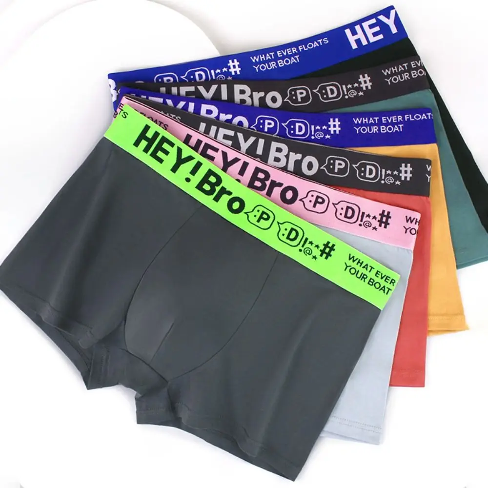 

4PCS Letter Printed Men's Cotton Panties Thin Underpants Seamless Underwear for Men Mid Waist Briefs Male Shorts Boxer Gifts