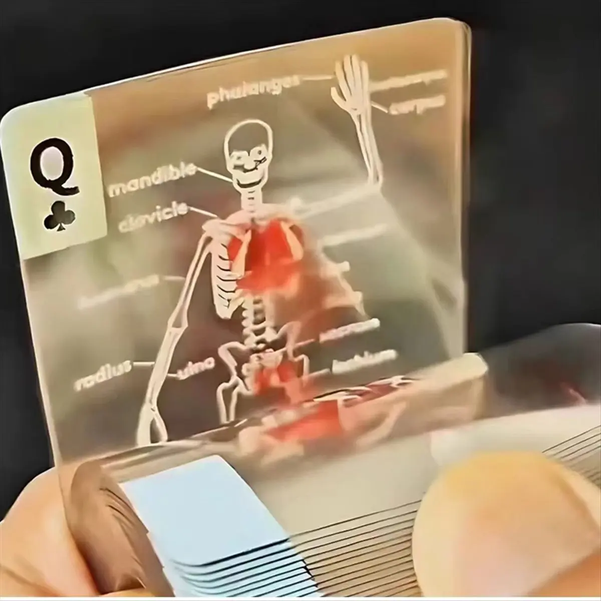 A67T NEW New Body Deck 52 Sheets Playing Cards Interesting Human Anatomy Playing Cards Physical Examination Teacher Students