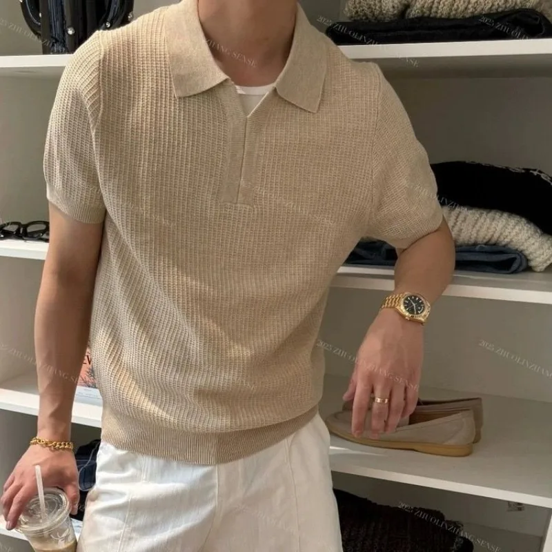 

Men's Knitted Polo Shirt Short Sleeve Wfle Texture Beige Casual Daily Slim Fit Collar Top Fashion Comfortable Summer Pullover