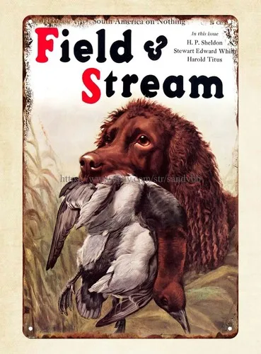 Field and Stream 1935 duck hunting dog LABRADOR GUNDOG metal tin sign wall art