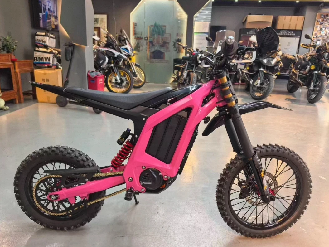 Tc 2026 Top Fashion Arctic Leopard XF PRO 72V 35Ah 12K Arctic Leopard Xf Pro Color 342Nm Custom Electric Off-Road Vehicle
