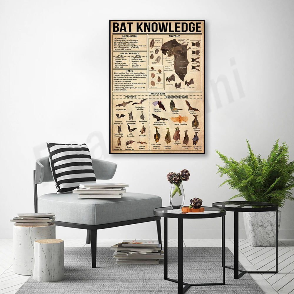 Bat knowledge art poster, anatomy of bat, bat information, bat characteristics, bat wall decoration, bat types print