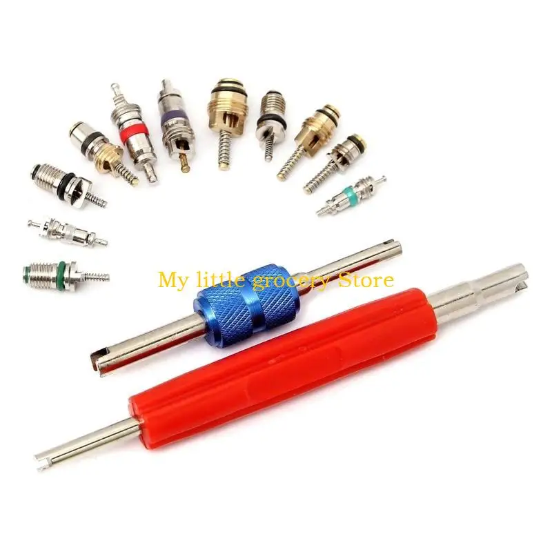 

D5BD 102x/Set Air Conditioning for Valve R134A Auto for Valve Cores Remo