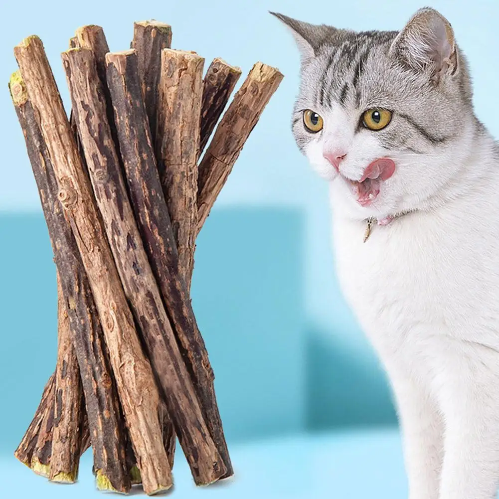 5Pcs Natural Cat Sticks For Cats Natural Catnip Chew Sticks Teeth Molar Chewing Teeth Bite-resistant Toys Pet Toys Products