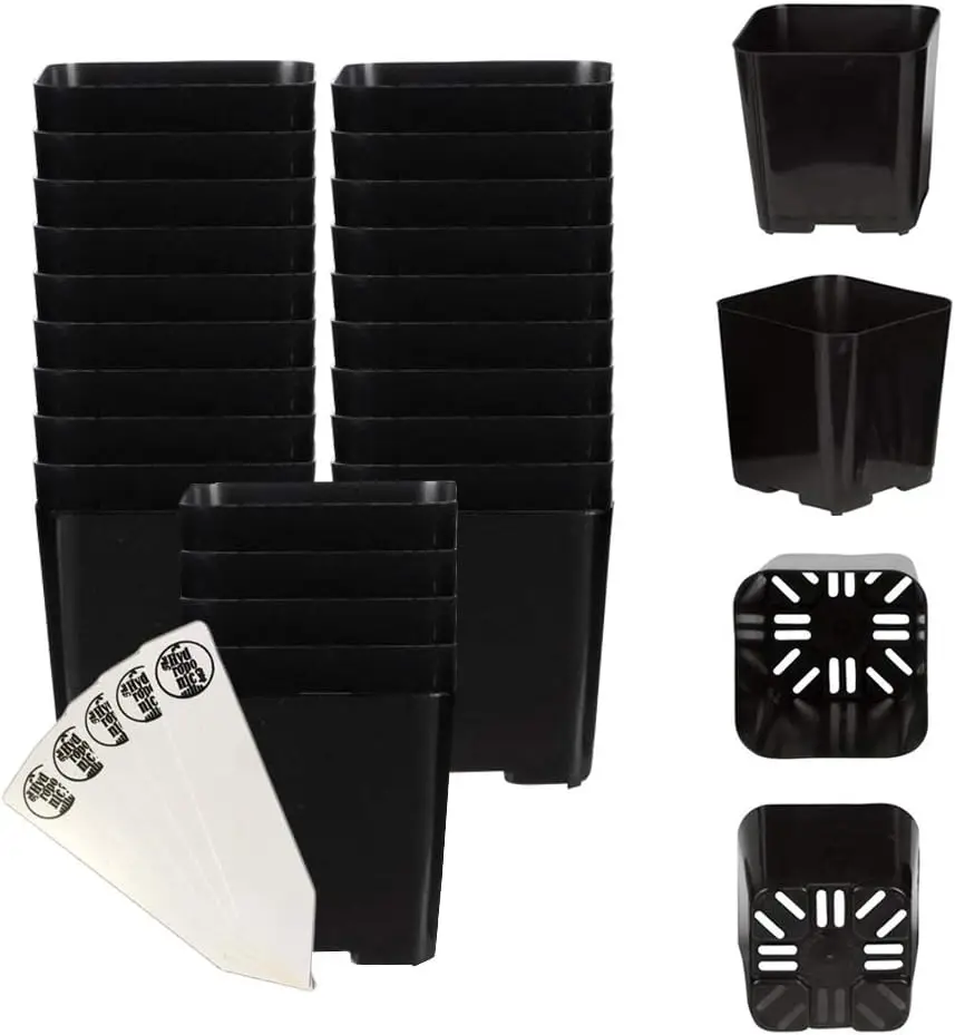 

Flower Nursery Pots for Starting Seedlings, Succulents, or Cacti - 2 x 2, Pack of 25 + 5 THCity