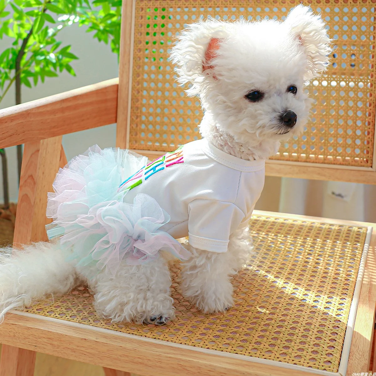 1PC Pet Clothing Cat Spring Autumn Summer Colorful Letter Ballet Mesh Princess Dress Suitable for Small and Medium sized Dogs