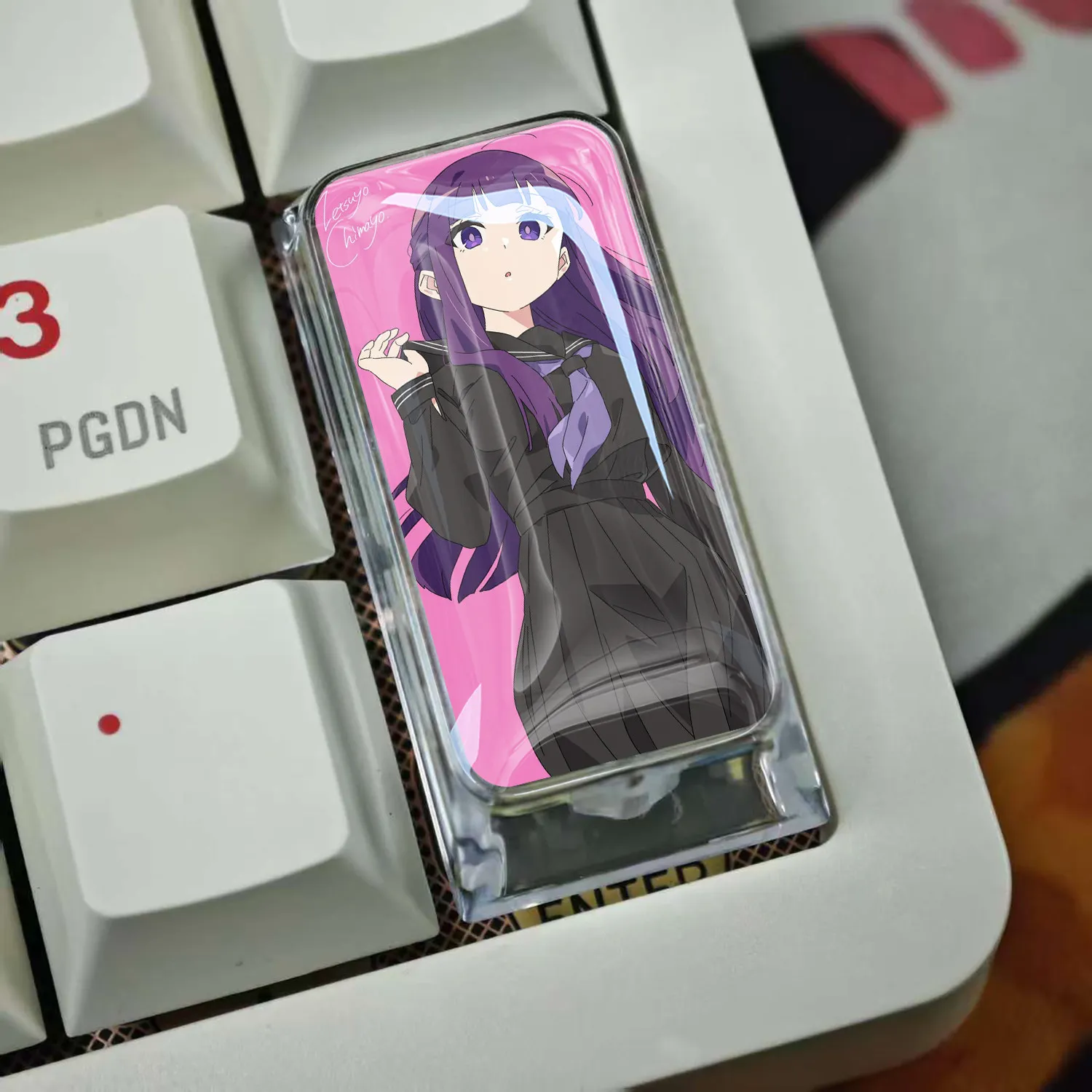 teclas-mecanicas-diy-wuthering-waves-fern-enter-key-para-teclado-mecanico-cross-axis-teclas-personalizadas-para-pc-presente-brinquedo