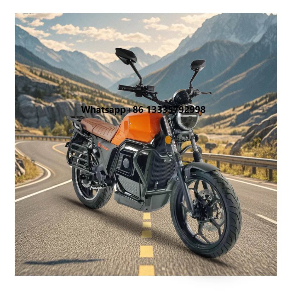 

VIMODE 2024 Wholesale 2000W 3000W Retro Electric Racing Motorcycle Fast Electric Motorbike for Adult