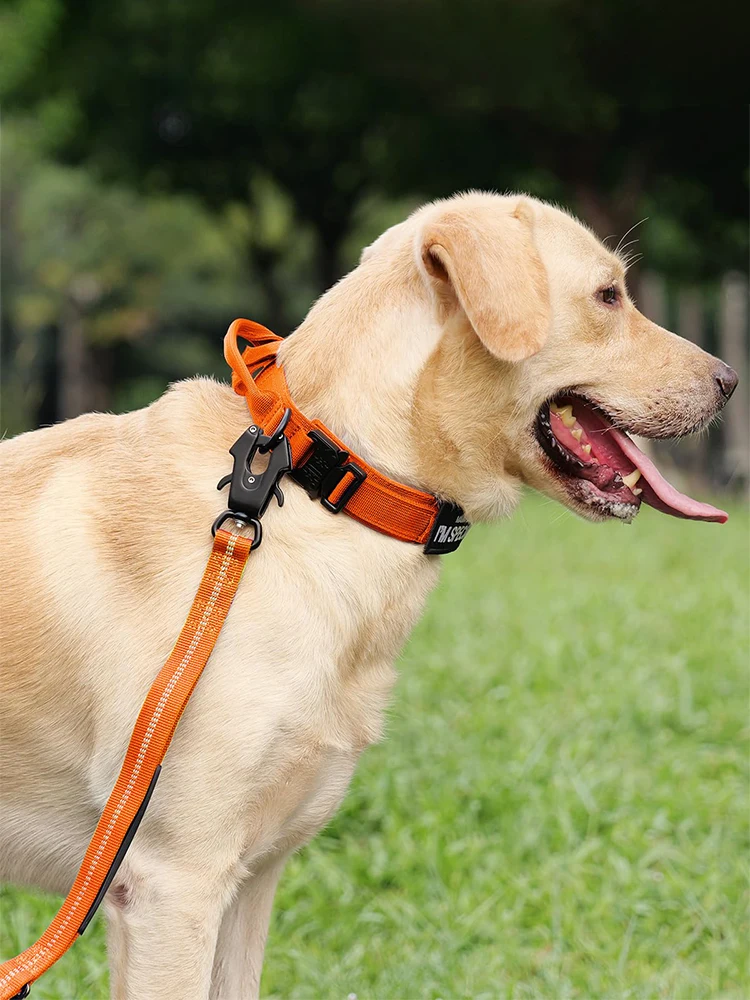 Orange Tactical Dog Collar with Handle Metal Buckle Military Dog Collar and Leash Set Adjustable Tactical Collars for Large Dogs