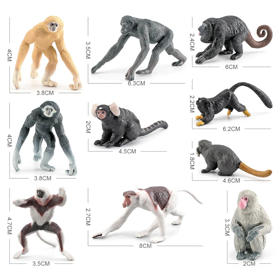 Figuras realistas de animales Bonobo, cinta, Marmoset, monos, modelo multicolor, juguetes educativos para enseñanza, 10 Uds.