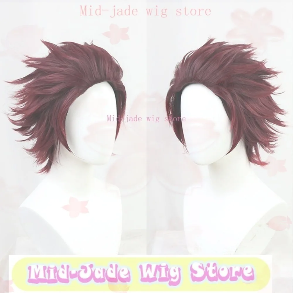 

Tanjiro Kamado Cosplay Wig Anime Cosplay Party Costume Props Synthetic Hair Heat-resistant Fiber