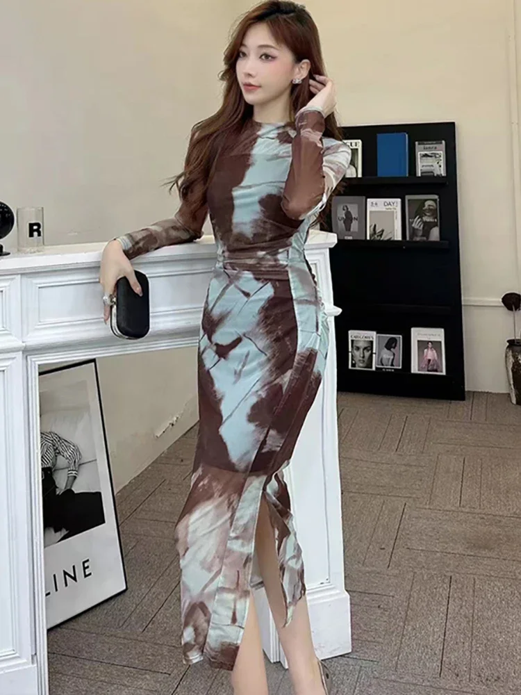 2024 New Floral Mesh Long Sleeve Casual Long Dress Women Korean Elegant Festival Prom Dress Autmn Winter Korean Vinage Vestidos