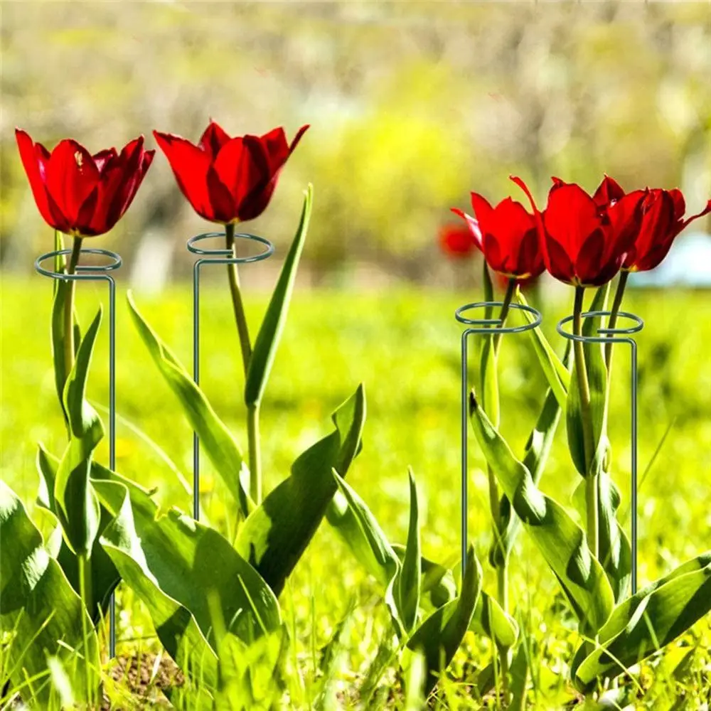 5Pcs Durable Garden Climbing Vine Rack Plant Support Stand Fixing Rod Climbing Frame Plant Cage Frame