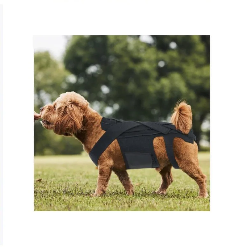 سترة الحيوانات الأليفة معلقة طوق الرقبة مع دعامة دعم الصدر والظهر، مقاسات M/L، إكسسوارات رياضية.