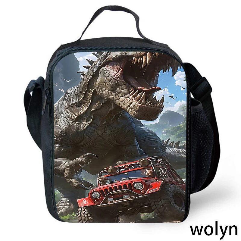 Cartoon School Bags for Boys Girls,Anime Prints H-Hot-W-Wheel Lunch Bags for School,Child Picnic Bags,Kids Cooler Bag for School