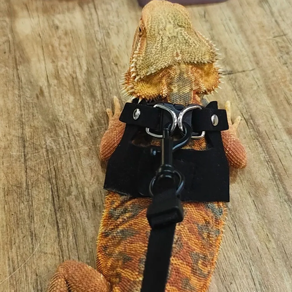 PU Leather Reptile Harness 4