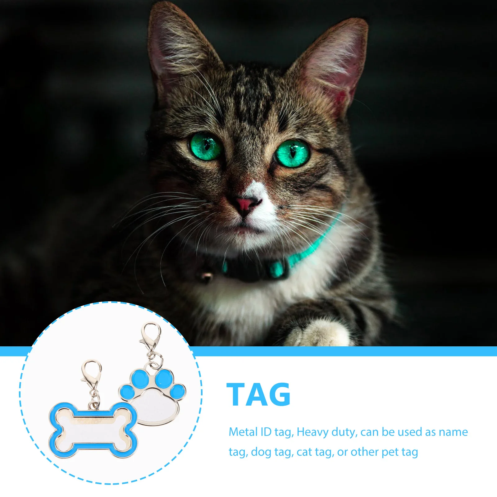 

2Pcs Pet Tags Stainless Steel Sublimation Dog Blanks Small Cat Tag Custom Name Tag for Collar Durable Rust Resistant