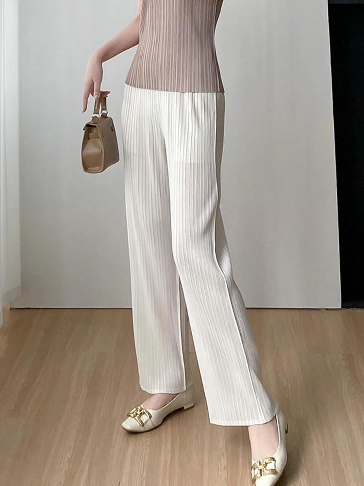 

High-End Pleated Wide Leg Pants Women's New Style Simple Casual Loose Fit Three Houses Style Spring Autumn Polyester Fiber