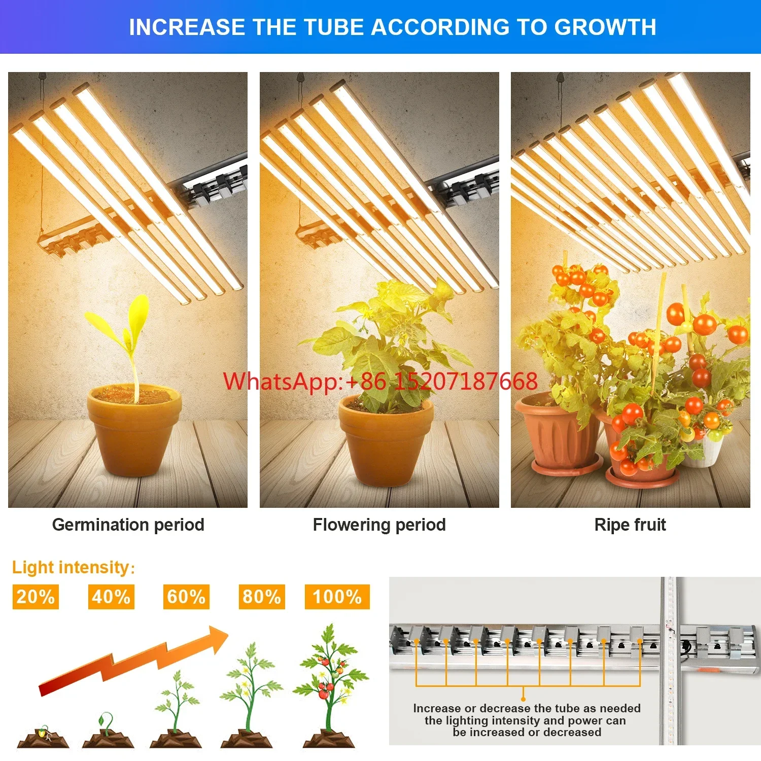 Full Sprctrum Gavita 1700 Pro Led Grow Light 600W 1000W For Indoor Plant Lights