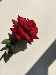 

SKYRC TORO TS160 PRO V2 160A Бесколлекторный регулятор скорости с датчиками, с BEC 6В/7.4В для радиоуправляемых моделей 1/10: багги, краулеры, туристические автомобили