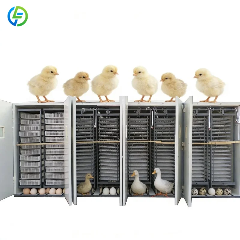 Customized Large-Scale Egg 3-in-1 Poultry Incubator: Hatching, Brooding & Heating for High-Yield Poultry Production