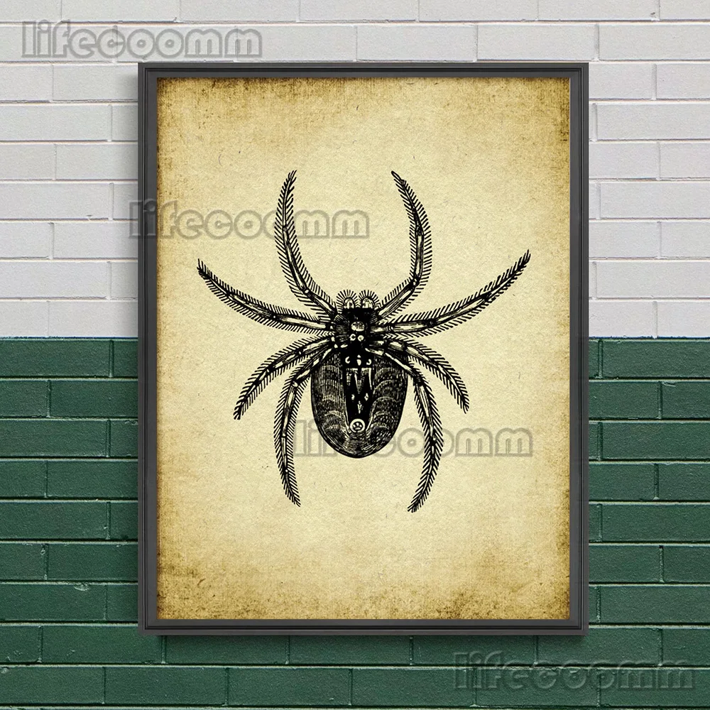 Mosquito,Butterfly,Spider,Bumble Bee,Dragonfly,Vintage Wall Art Canvas Painting,Insect Illustration Entomology Art Poster Print