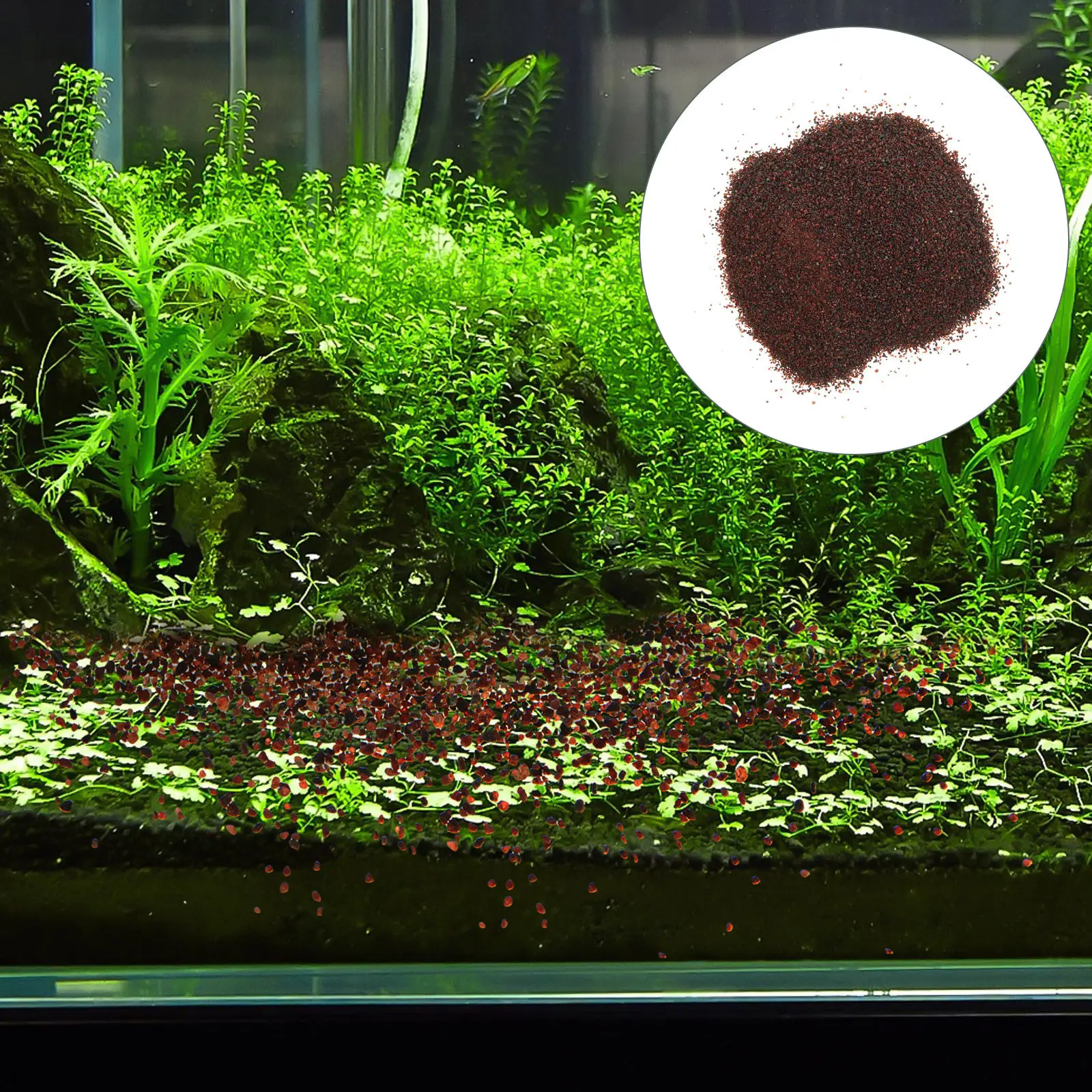 Planted Aquarium With Sand - Flowerpot Plants Filling Gravels Natural Bottom