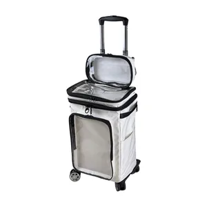 Harajuku Style Cartoon Transparent Luggage 20 inch, Clear PVC Cabin Bag Carry On Transparent Rolling Suitcase with Wheels