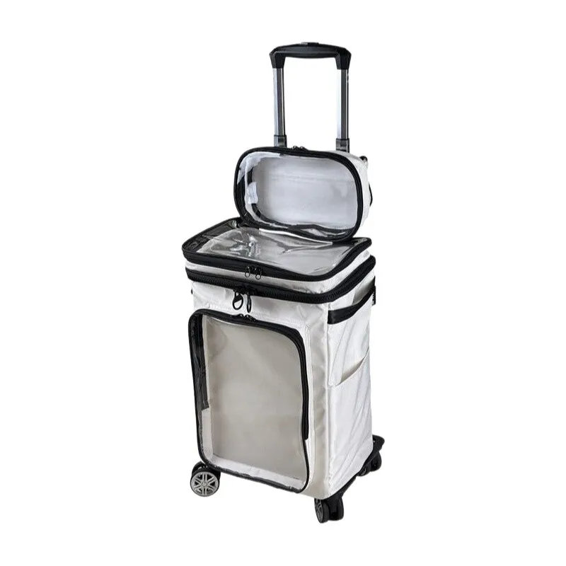 Harajuku Style Cartoon Transparent Luggage 20 inch, Clear PVC Cabin Bag Carry On Transparent Rolling Suitcase with Wheels